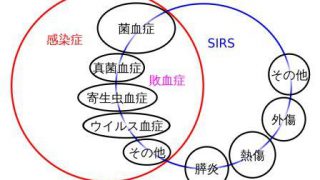 【免疫が弱い方注意】敗血症の症状・治療